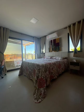 Imagem Casa Branca - Bromélias
