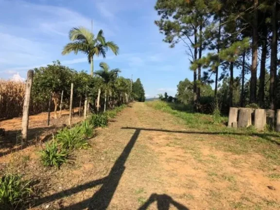 Sítio à venda em Piedade-SP, bairro Piedade, com 0,01 m² de área: oportunidade imperdível!