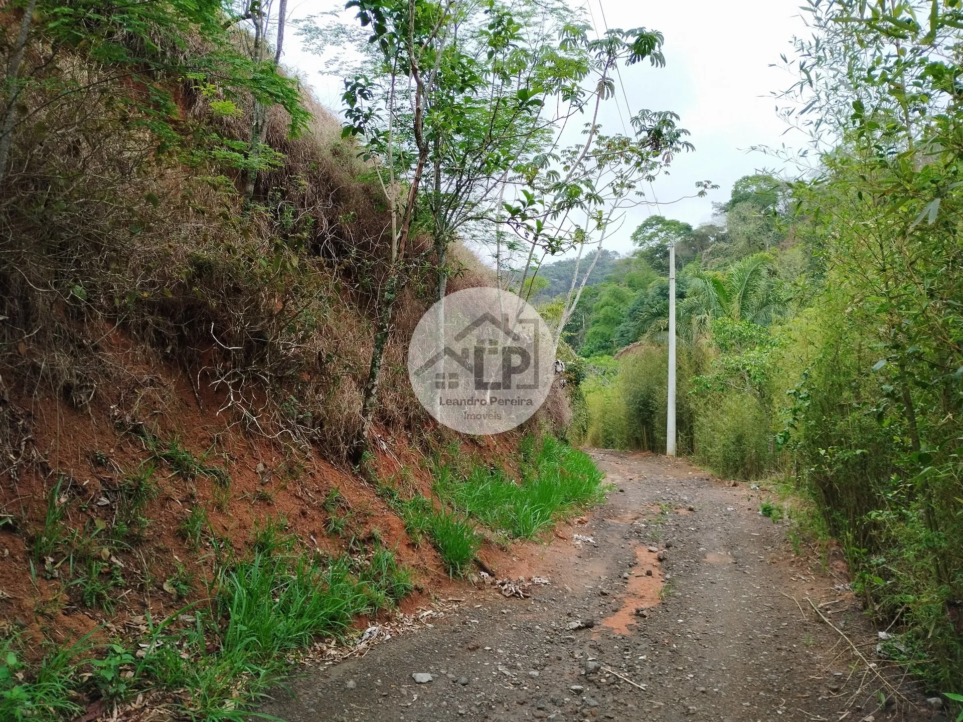 Imagem Lote/Terreno de 1560m² no bairro Caiçara, em Piraí