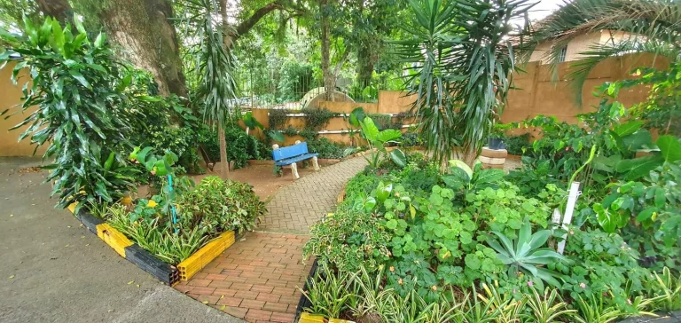 Imagem OPORTUNIDADE!!! Ótimo Apartamento, 2 dormitórios, box, Centro, Viamão.