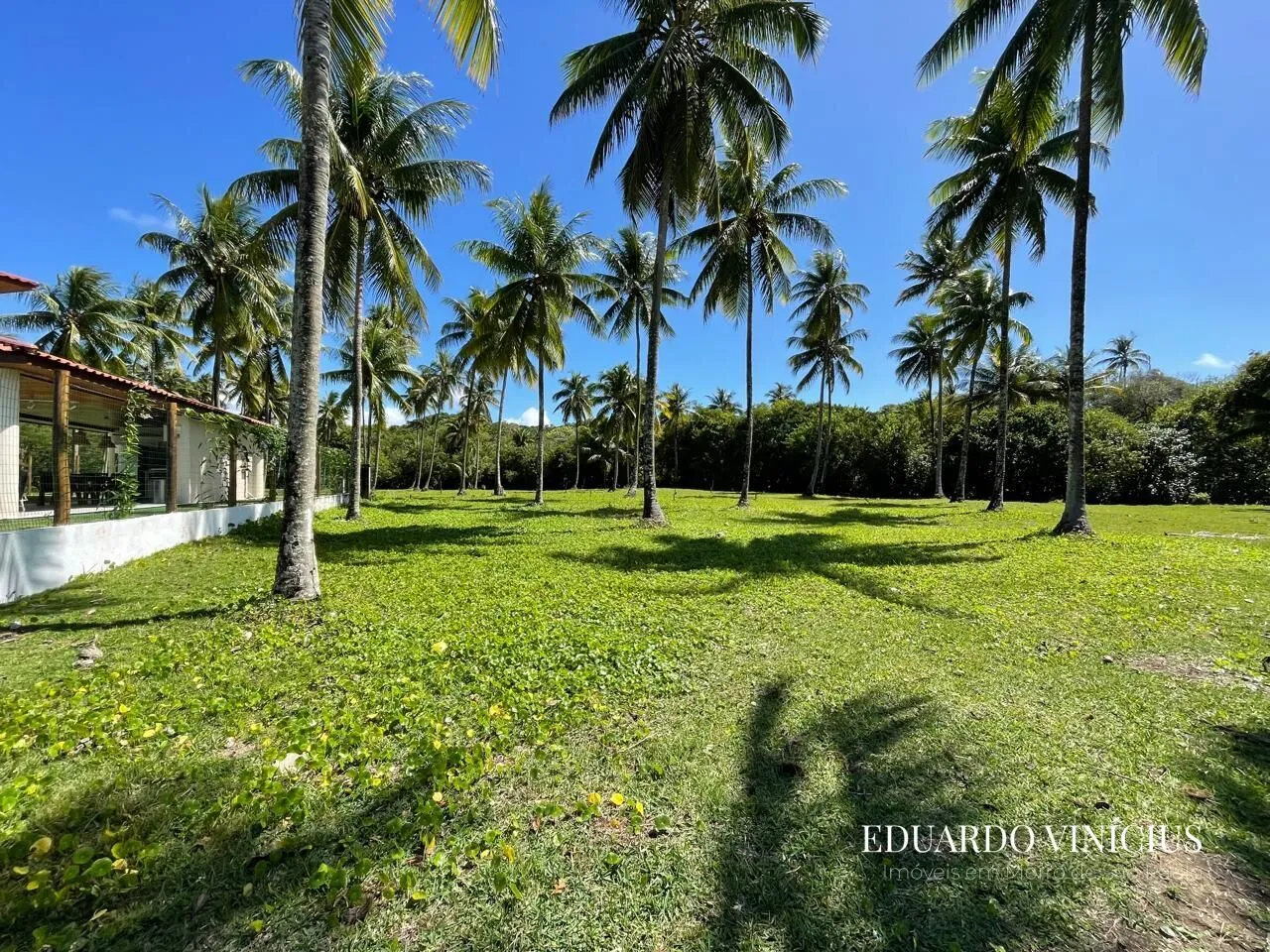 Imagem Sítio dos Coqueiros - Terreno 1.000 m² à Venda na Terceira Praia do Morro de São Paulo