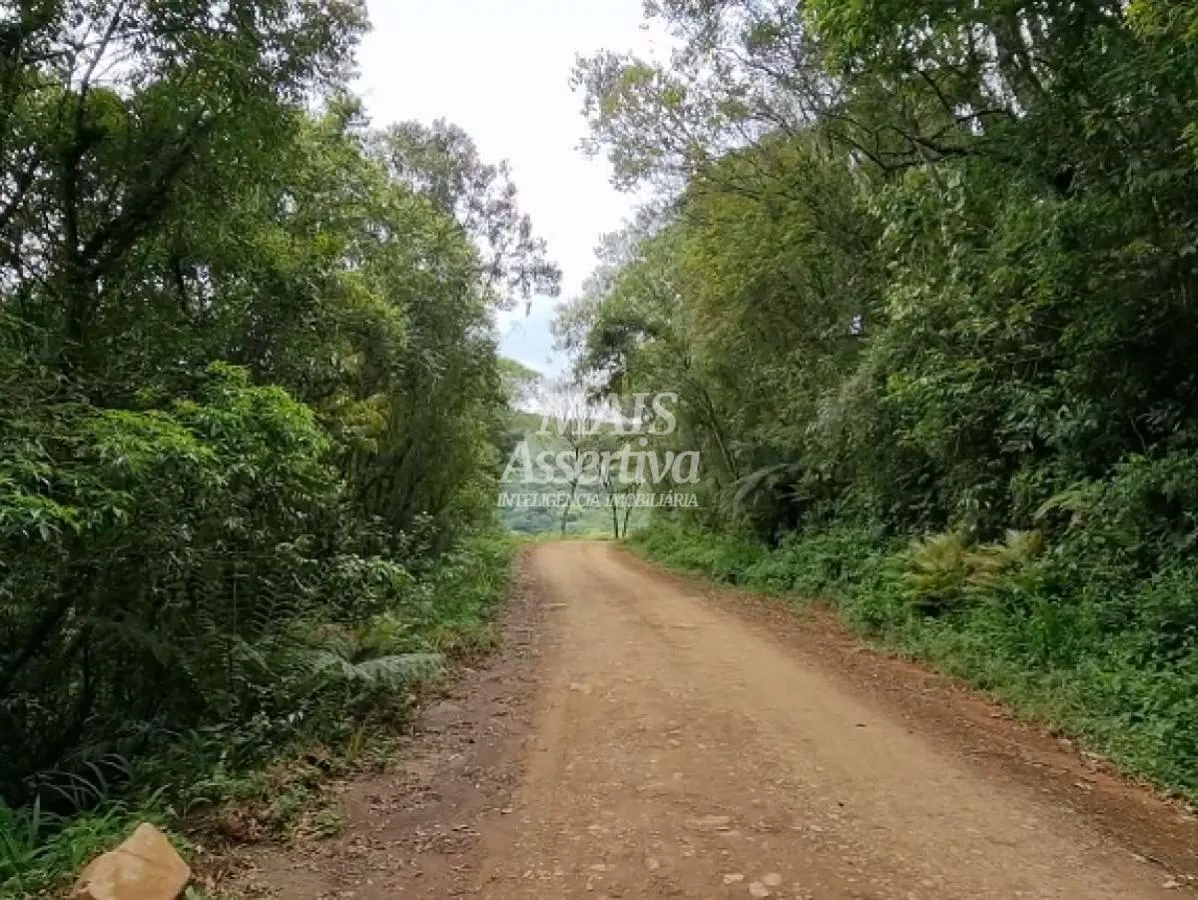 Imagem Sítio para Venda em São Francisco De Paula / RS no bairro Centro