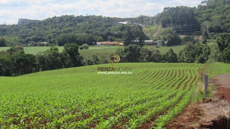 Imagem Área para Loteamento para Venda em Concórdia, São Cristóvão