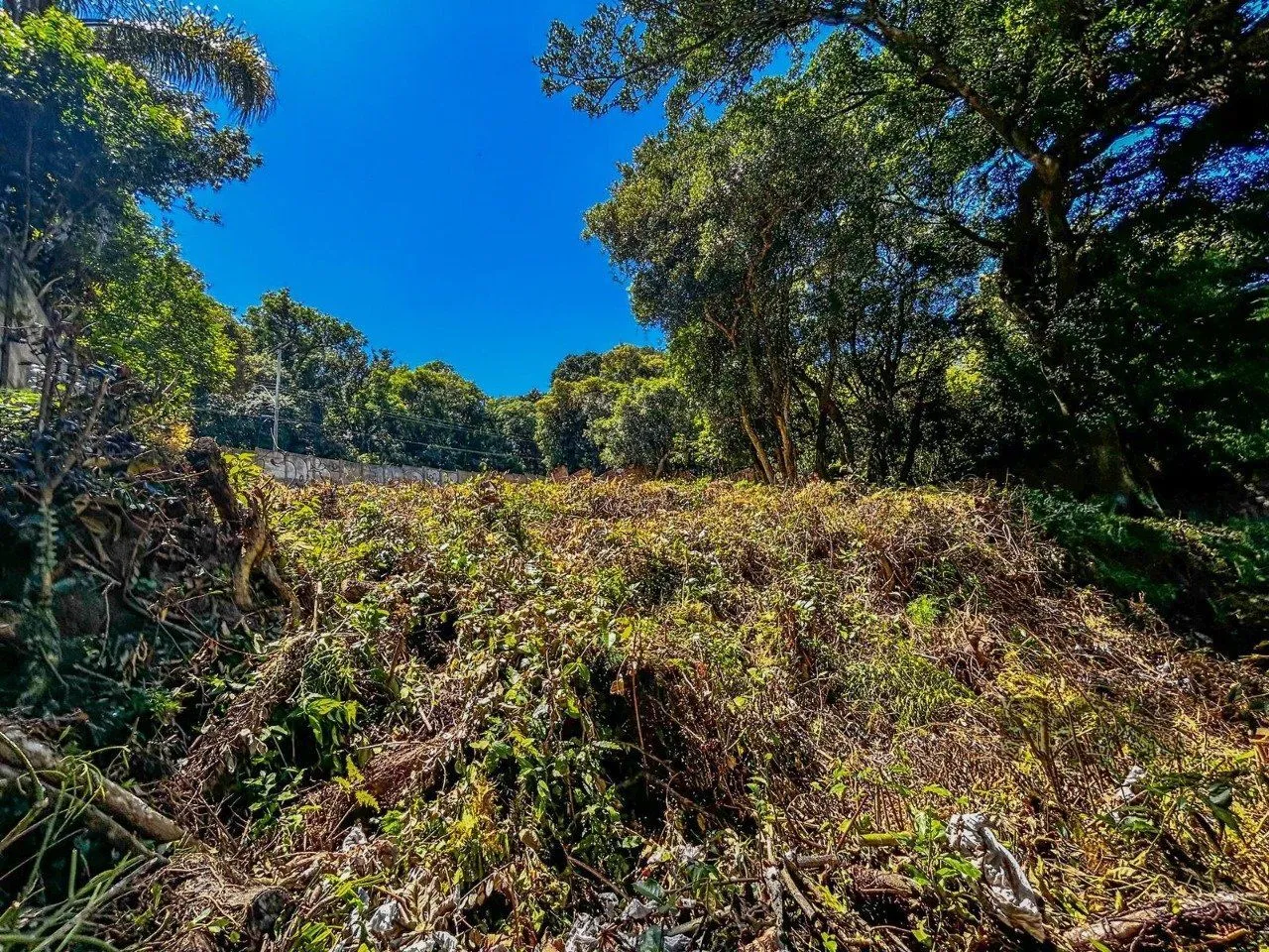 Imagem Terreno em Ipanema