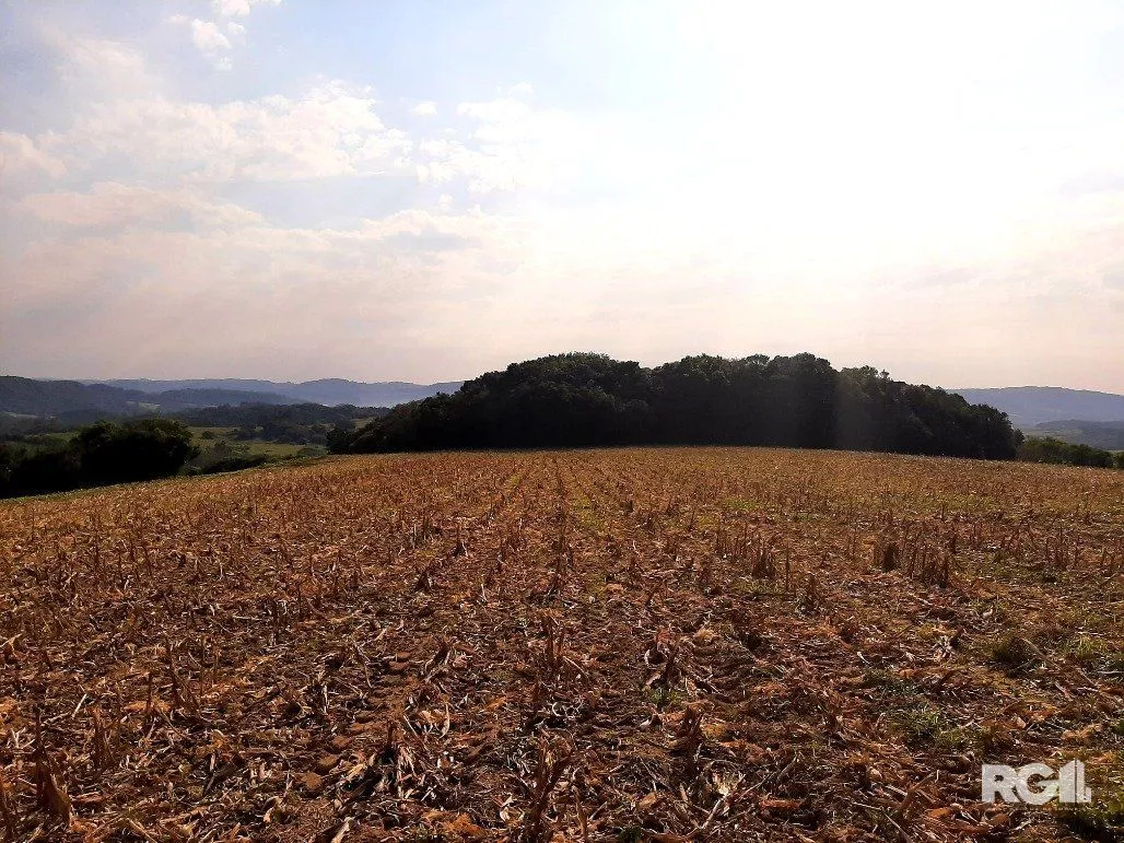 Imagem Area de terras cultivaveis