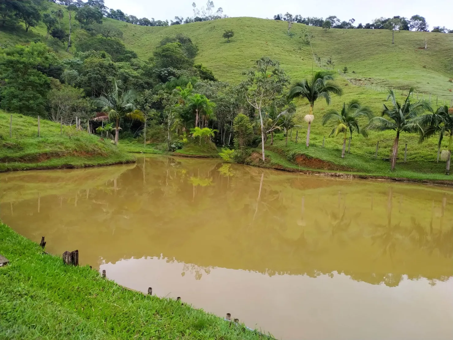 Imagem Chácara à venda 3 Quartos, 31573.76M², Centro, Monteiro Lobato - SP