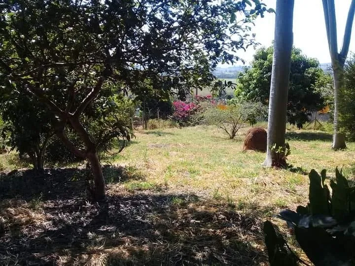 Imagem Chácara à venda 3 Quartos, 1 Suite, 10 Vagas, 2000M², Goiabal, Pindamonhangaba - SP