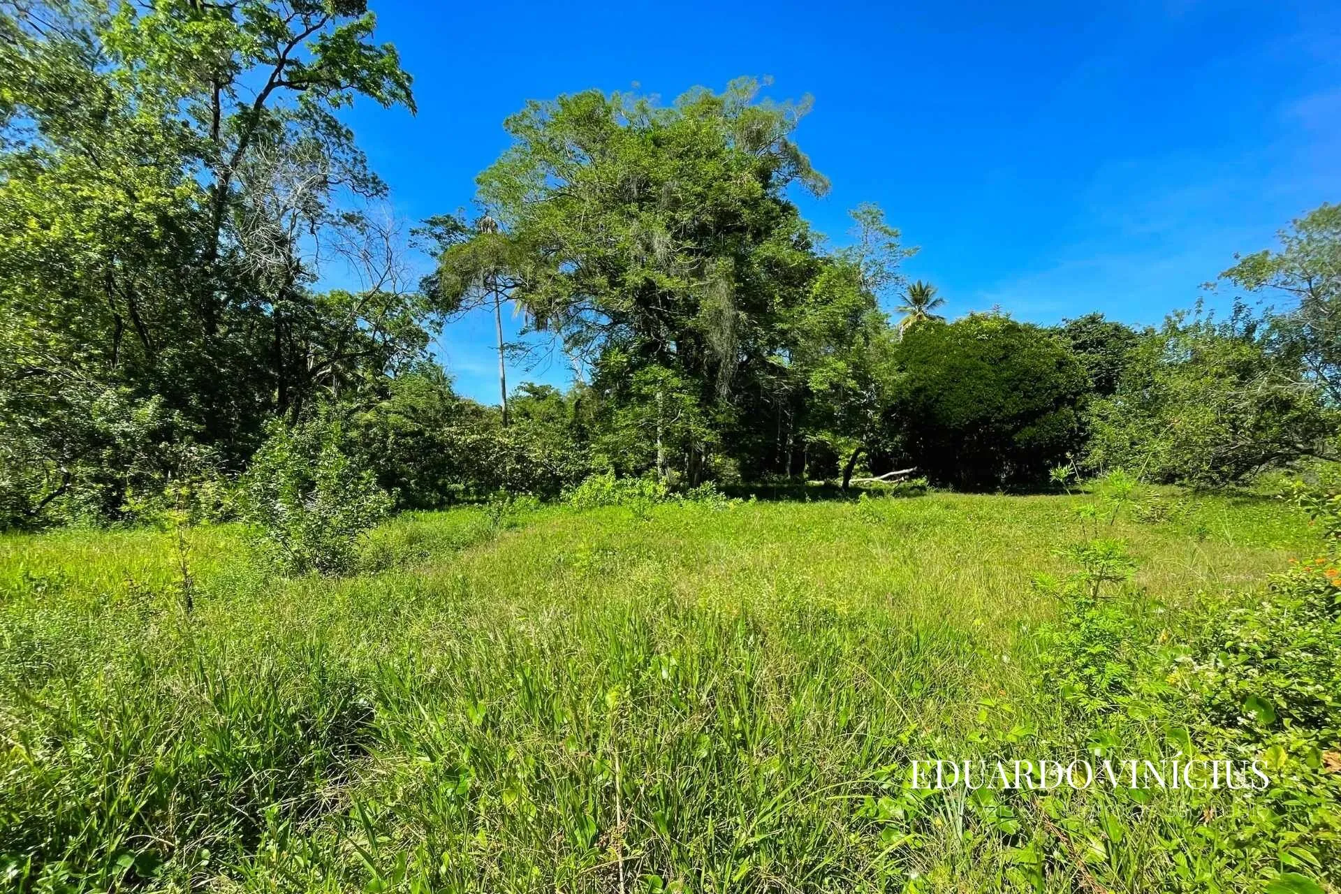 Imagem Terreno 4.020 m² à Venda na Praia do Encanto em Morro de São Paulo