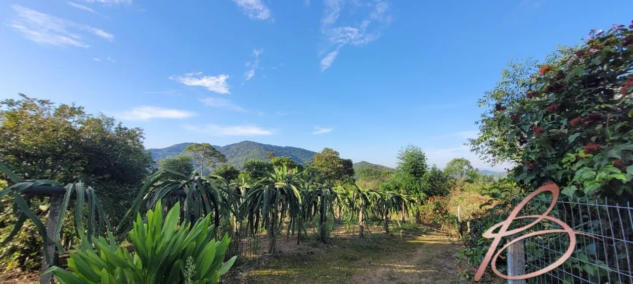Foto do imóvel Lindo Sítio em Ilhota - SC