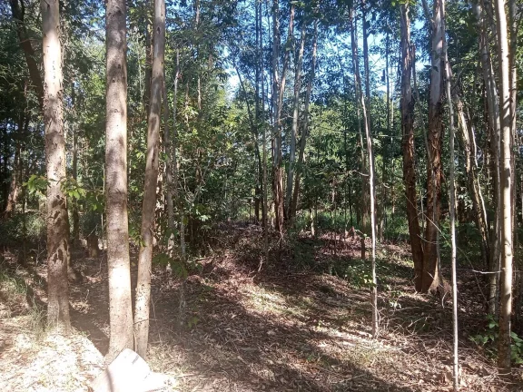 Imagem Sitio com 2.056m², em condomínio fechado, arborizado, Águas Clara, Viamão