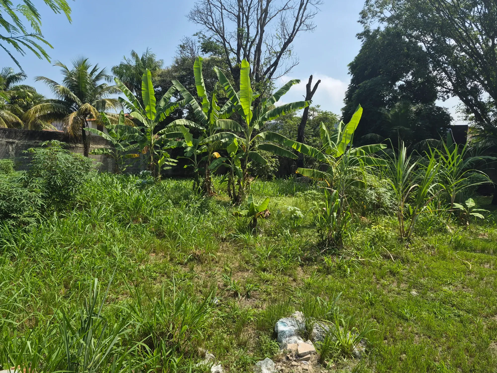 Imagem Terreno à Venda, 180 metros em Maravista - Niterói