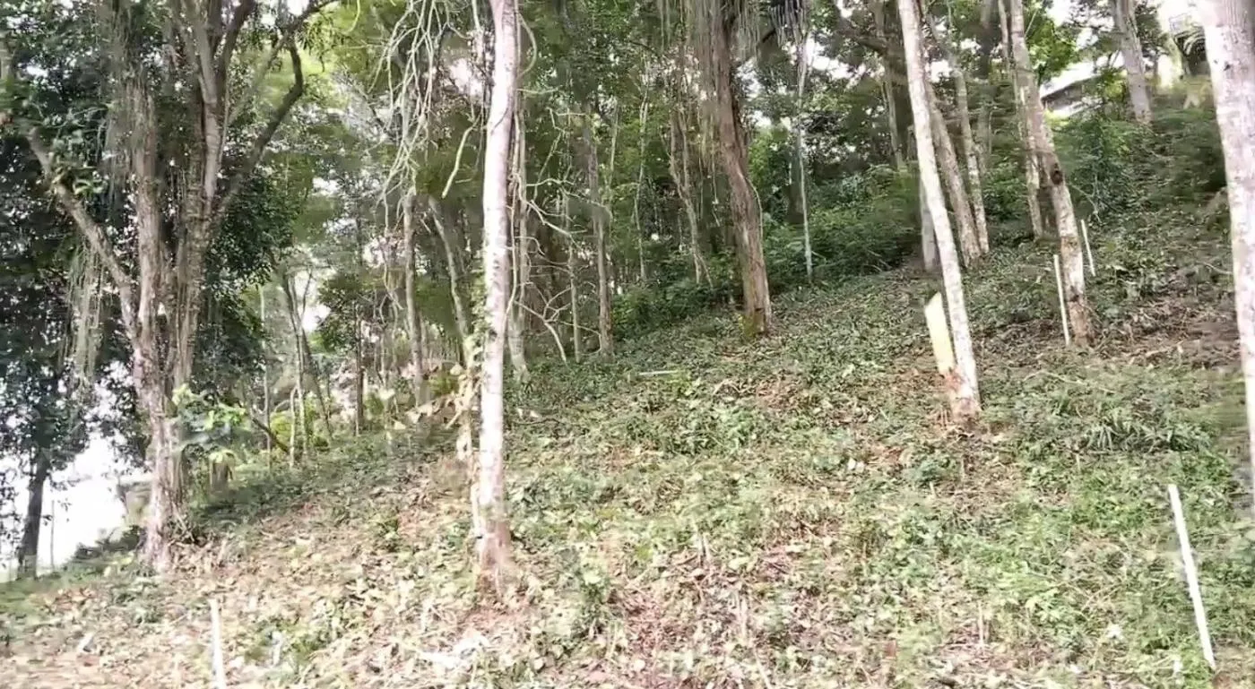 Imagem Terreno em Condomínio para Venda em Petrópolis / RJ no bairro Itaipava