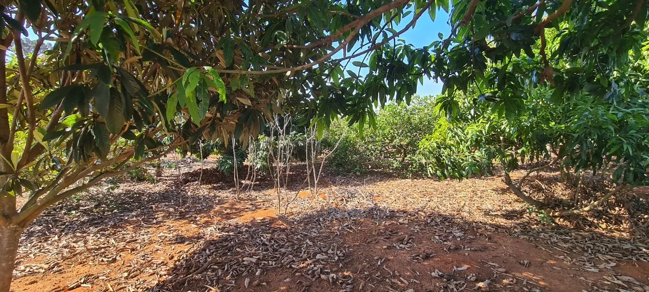 Imagem Chácara à venda em Cesário Lange-SP, bairro Campininha: 2 quartos, 1 sala, 1 banheiro, 1 vaga, 150m². Aproveite!