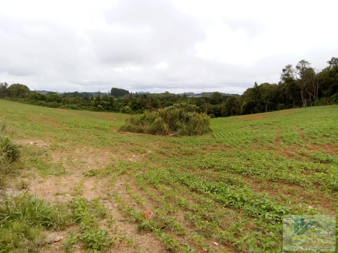Imagem Terreno para Venda em São José dos Pinhais, Contenda, 1 dormitório