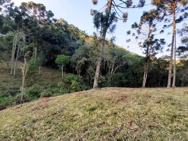 Imagem Chácara à venda 170000M², Paraibuna, Cunha - SP