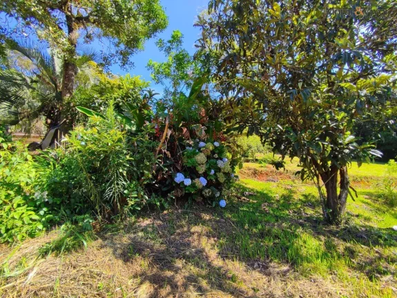 Imagem Chácara para Venda em Piraquara, Loteamento Chácara Chantecler, 2 dormitórios, 1 banheiro