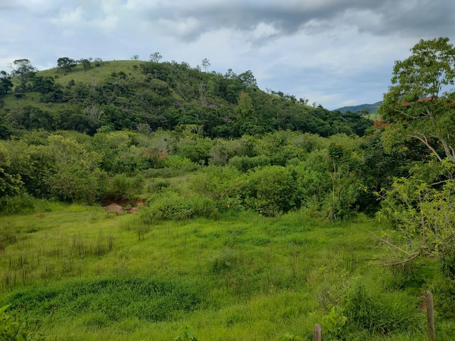 Imagem Chácara à venda 3 Quartos, 1 Suite, 20 Vagas, 24000M², Registro, Taubaté - SP