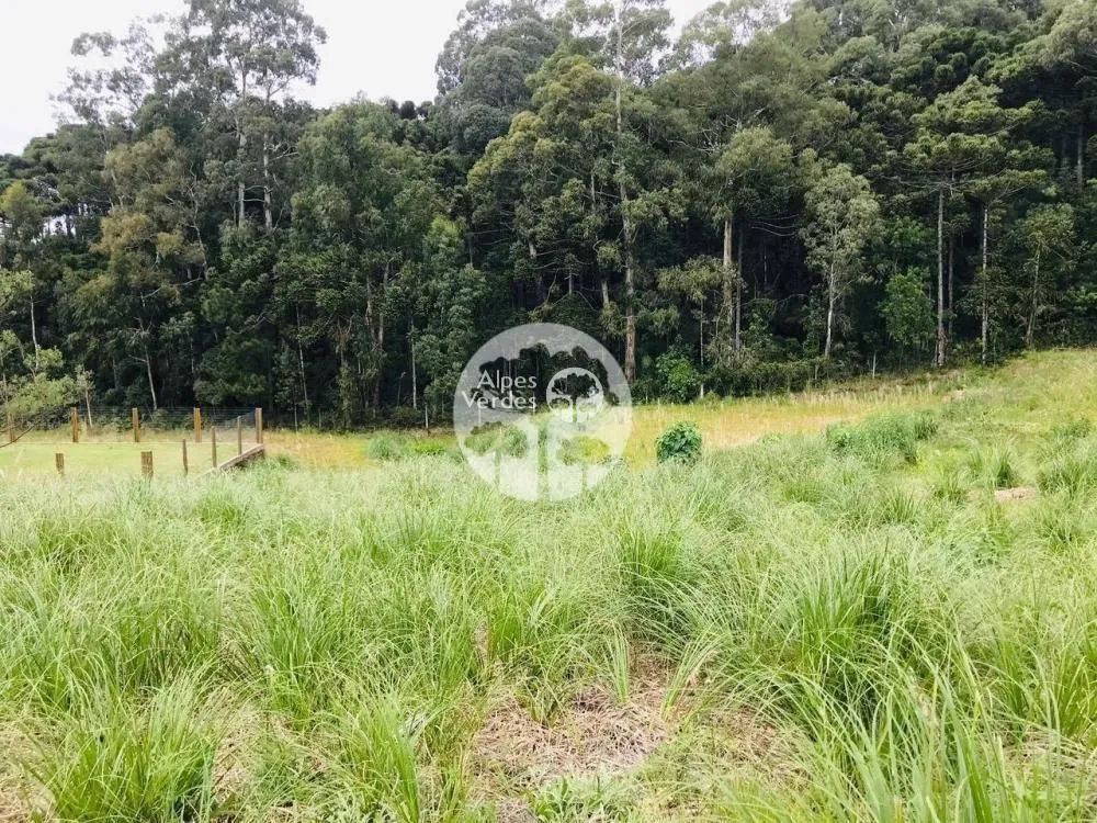 Foto do imóvel Vende-se terreno residencial de 960m2, localizado no pórtico de Gramado