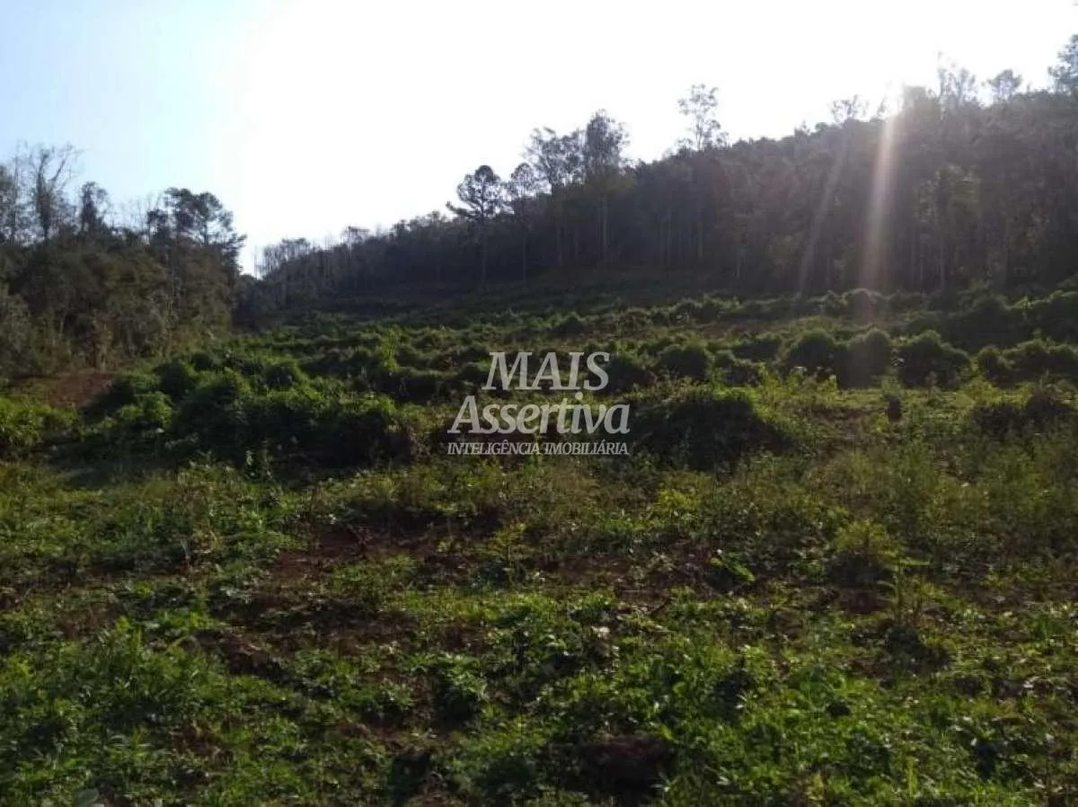 Imagem Terreno para Venda em Três Coroas / RS no bairro água Brancas