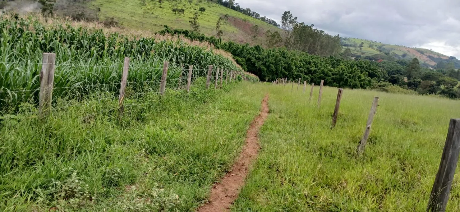 Imagem SÍTIO ESPETACULAR À VENDA EM PASSA TEMPO/MG -- 5,9 hectares de terra