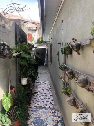 Imagem Galpão Comercial à venda, Vila Lageado, São Paulo - .