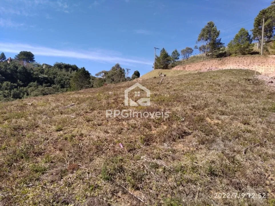 Imagem Terrenos limpos