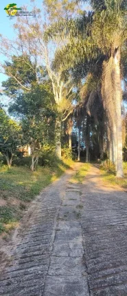 Imagem CHACARA EM IBIÚNA A VENDA