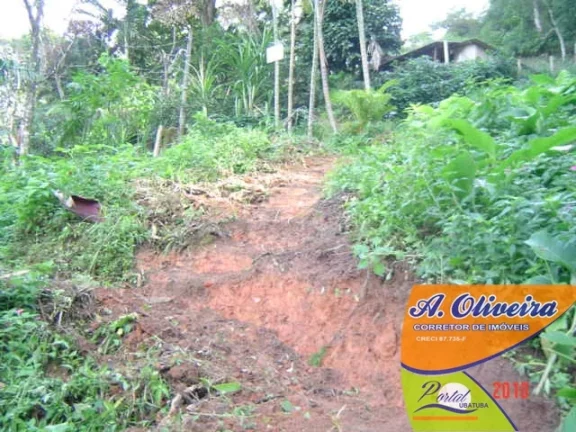 Imagem Área Com Vista Panorâmica