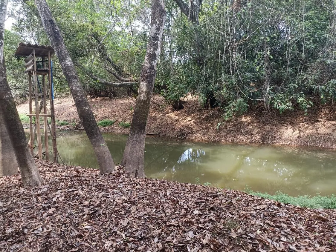 Imagem Terreno a venda de 24,3 hectares às margens do Rio Picão