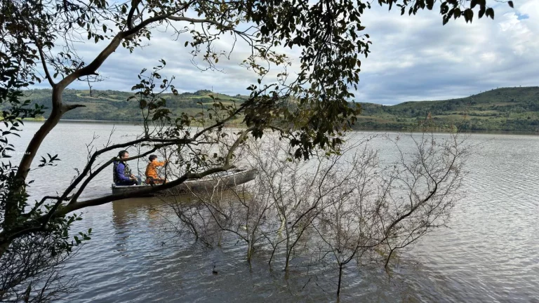 Foto do imóvel Sítio para Venda em Concórdia, Interior, 4 dormitórios, 1 banheiro, 2 vagas em Linha Laudelino