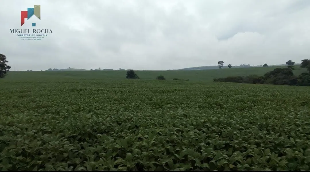Imagem Fazenda região Itapetininga SP