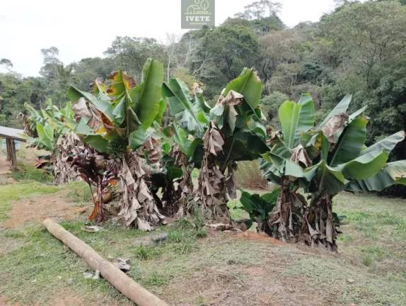 Imagem Chácara com 2 quartos, 120m2, à venda