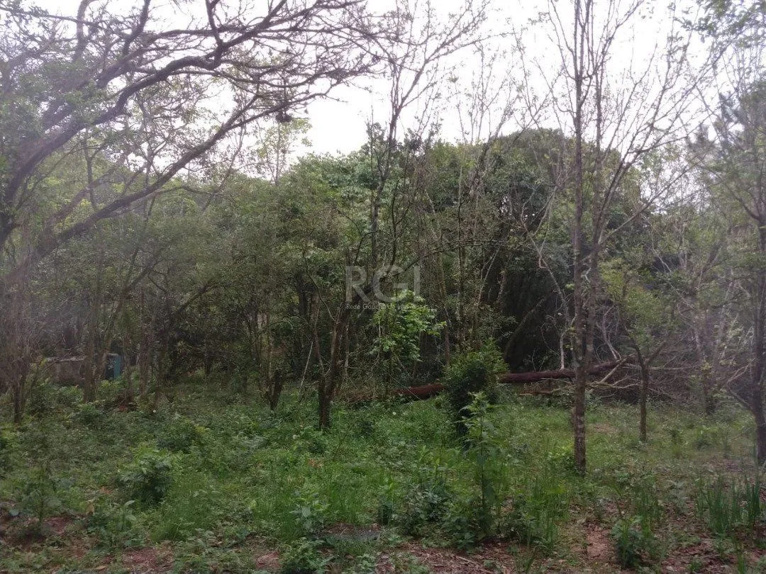 Imagem Área para Venda - 11,39ha, bairro Belém Velho