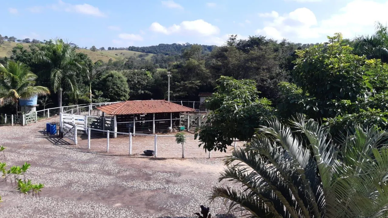 Imagem FAZENDA À VENDA - SÃO GONÇALO DO PARÁ 120 hectares de terra