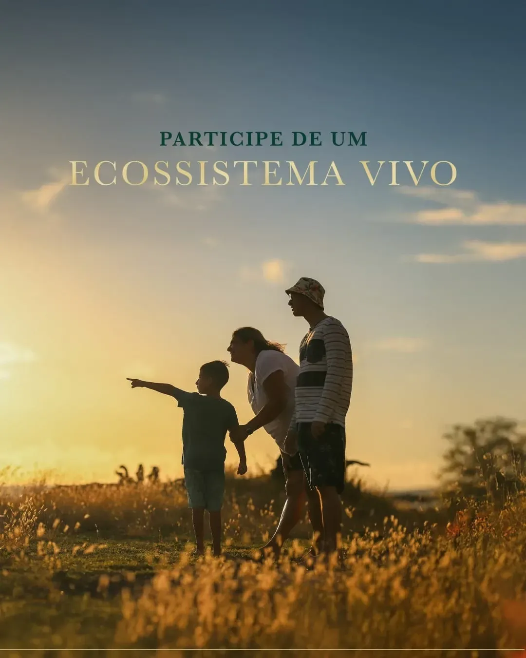 Imagem Terreno à Venda, 240 metros em bairro Papucaia - Cachoeiras de Macacu