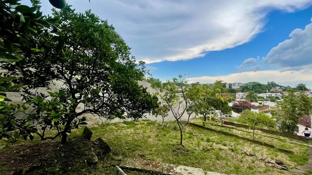 Imagem Casa ampla com pátio gourmet e árvores frutíferas