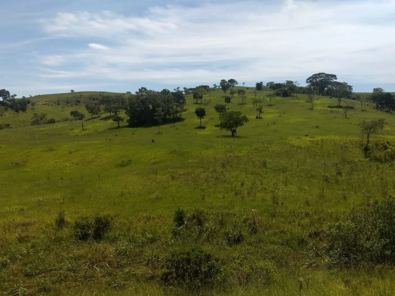 Imagem Chácara à venda 400000M², Barreiro, Taubaté - SP