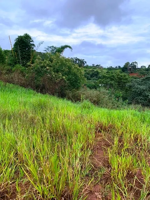 Imagem Chácara à venda 1666.67M², Goiabal, Pindamonhangaba - SP