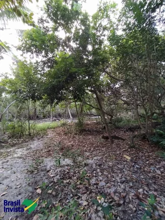 Imagem ÁREA EM ARRAIAL D'AJUDA