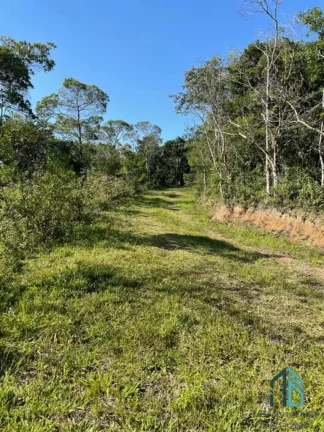 Imagem Terreno 14.600 mil m2, a venda em Garopaba na Praia do Silveira Florianópolis SC