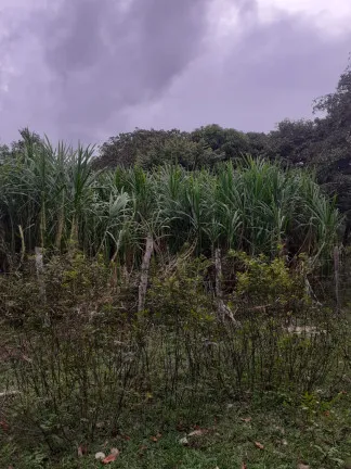 Foto do imóvel Fazenda à Venda, em zona rural - Salvaterra