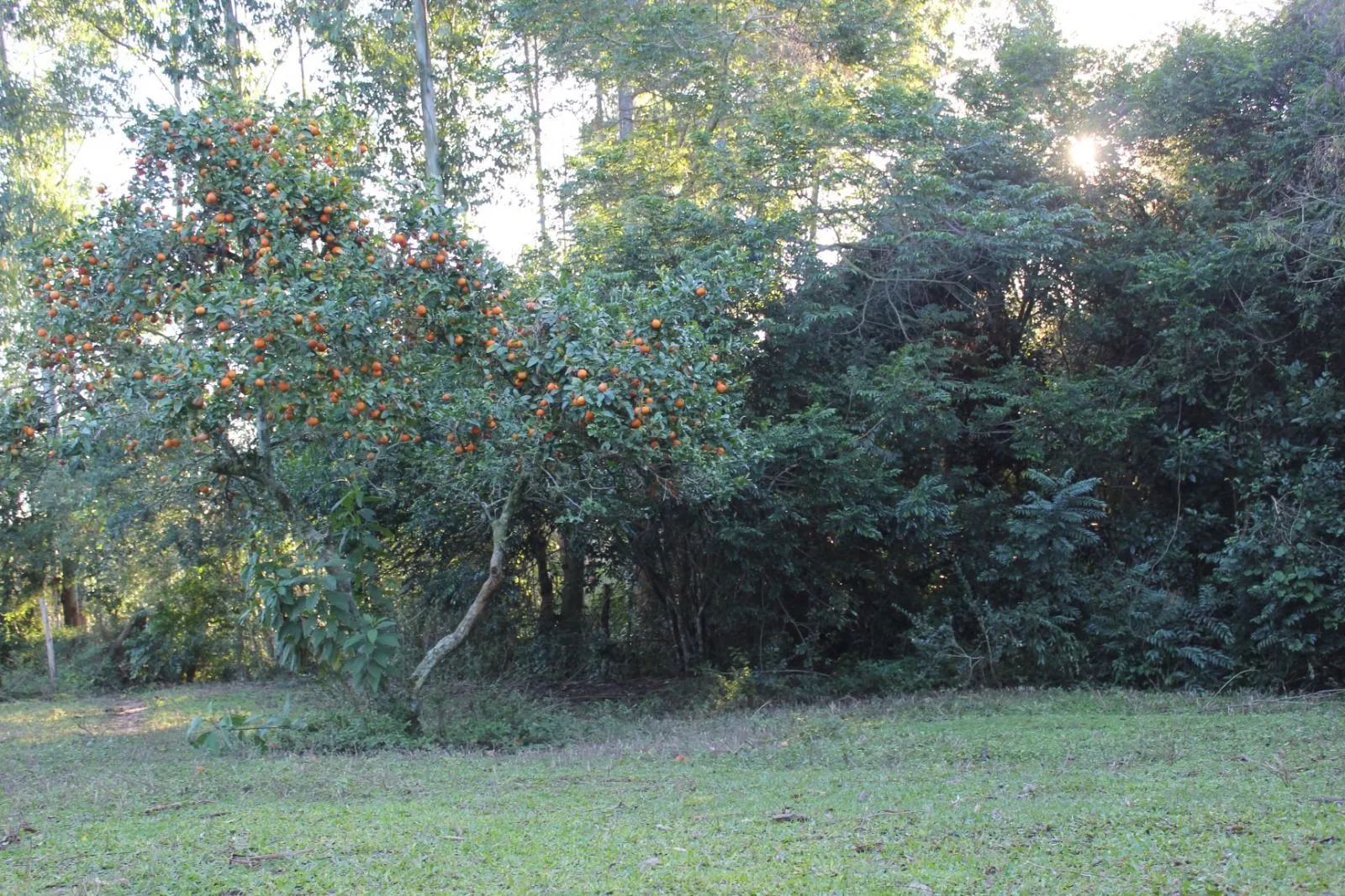 Imagem Sítio em Itapuã