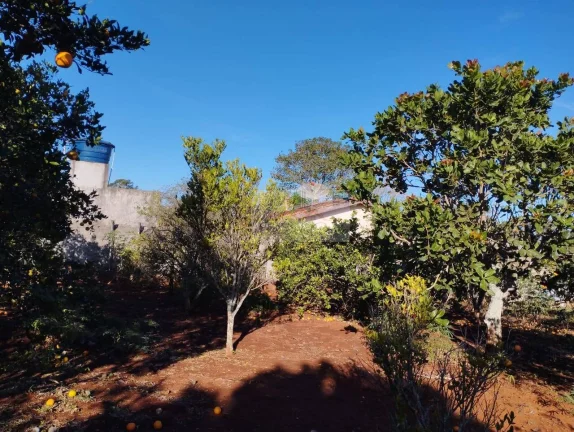 Imagem CHÁCARA JARDIM CANANÉIA