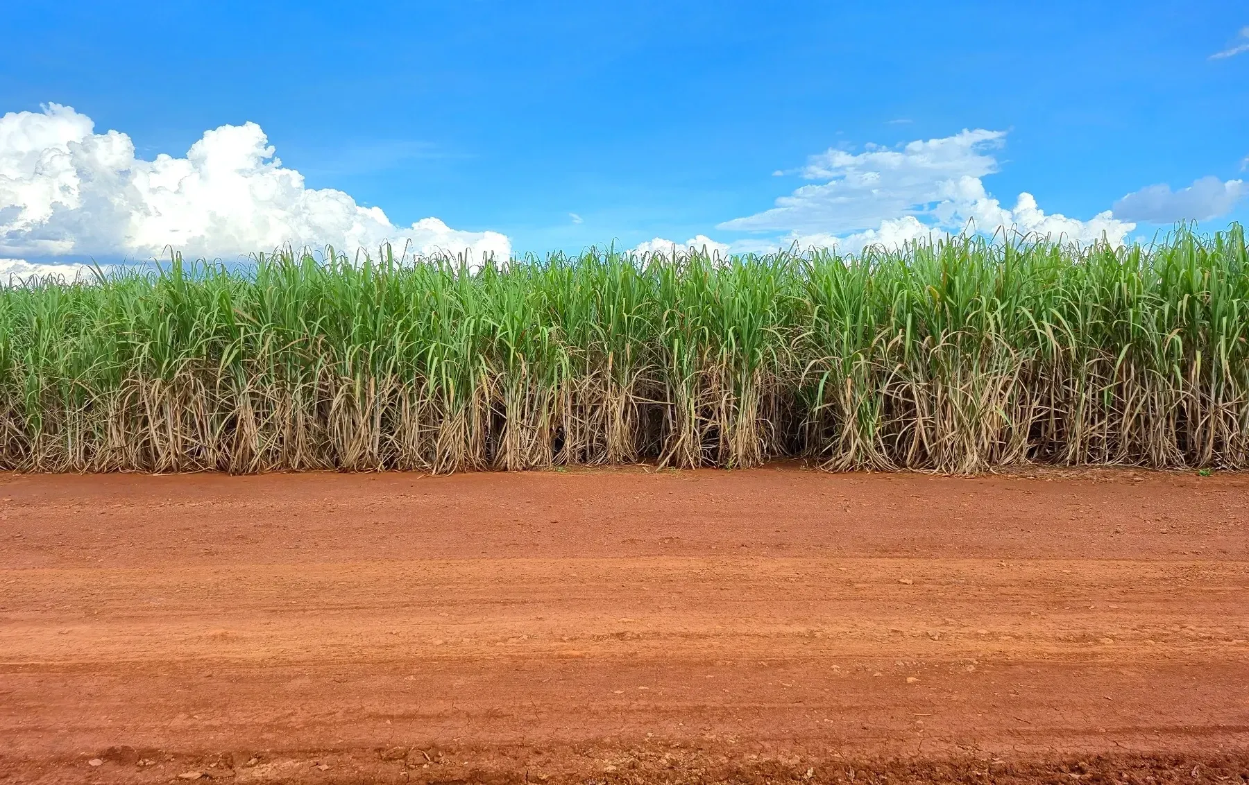 Foto do imóvel Fazenda à Venda, 232 HA em Zona Rural - Franca