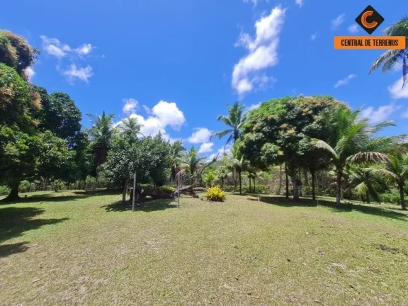 Imagem SITIO RURAL em CAMAÇARI - BA, JORRINHO
