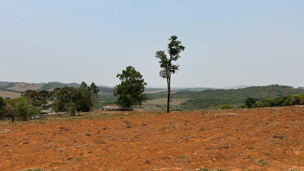 Imagem FAZENDINHA À VENDA - PASSA TEMPO (MG) 51 hectares de terra