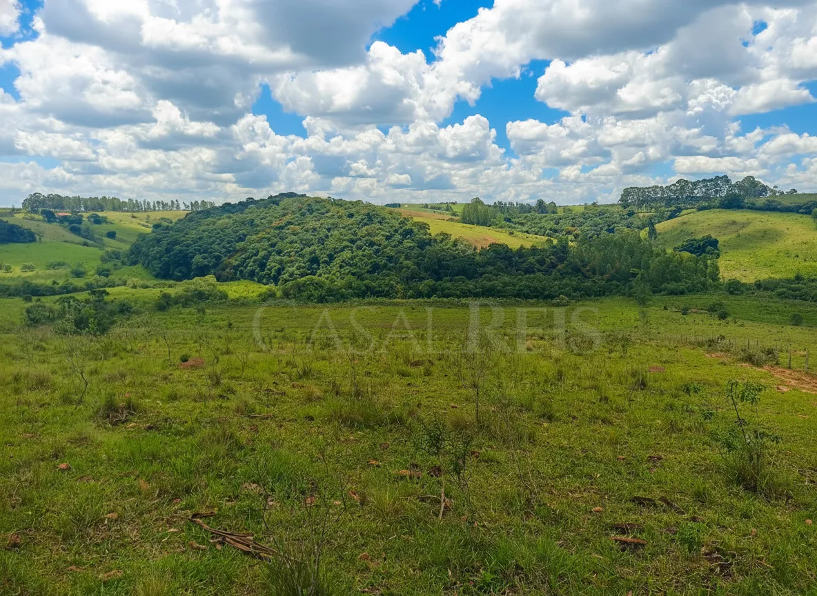 Imagem Sítio 50 m² à venda em Centro, Cruzília