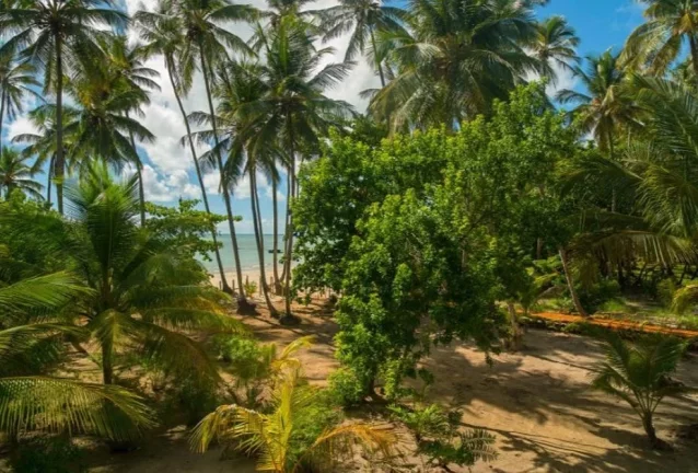 Imagem Casa Terra