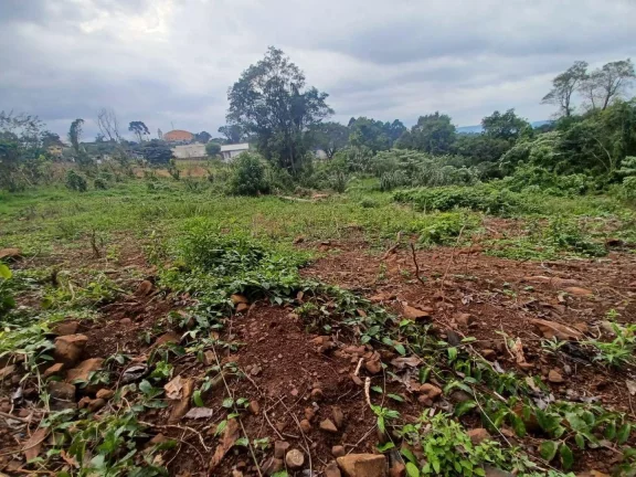 Imagem Casa para Venda em Concórdia, Planalto, 2 dormitórios, 1 banheiro