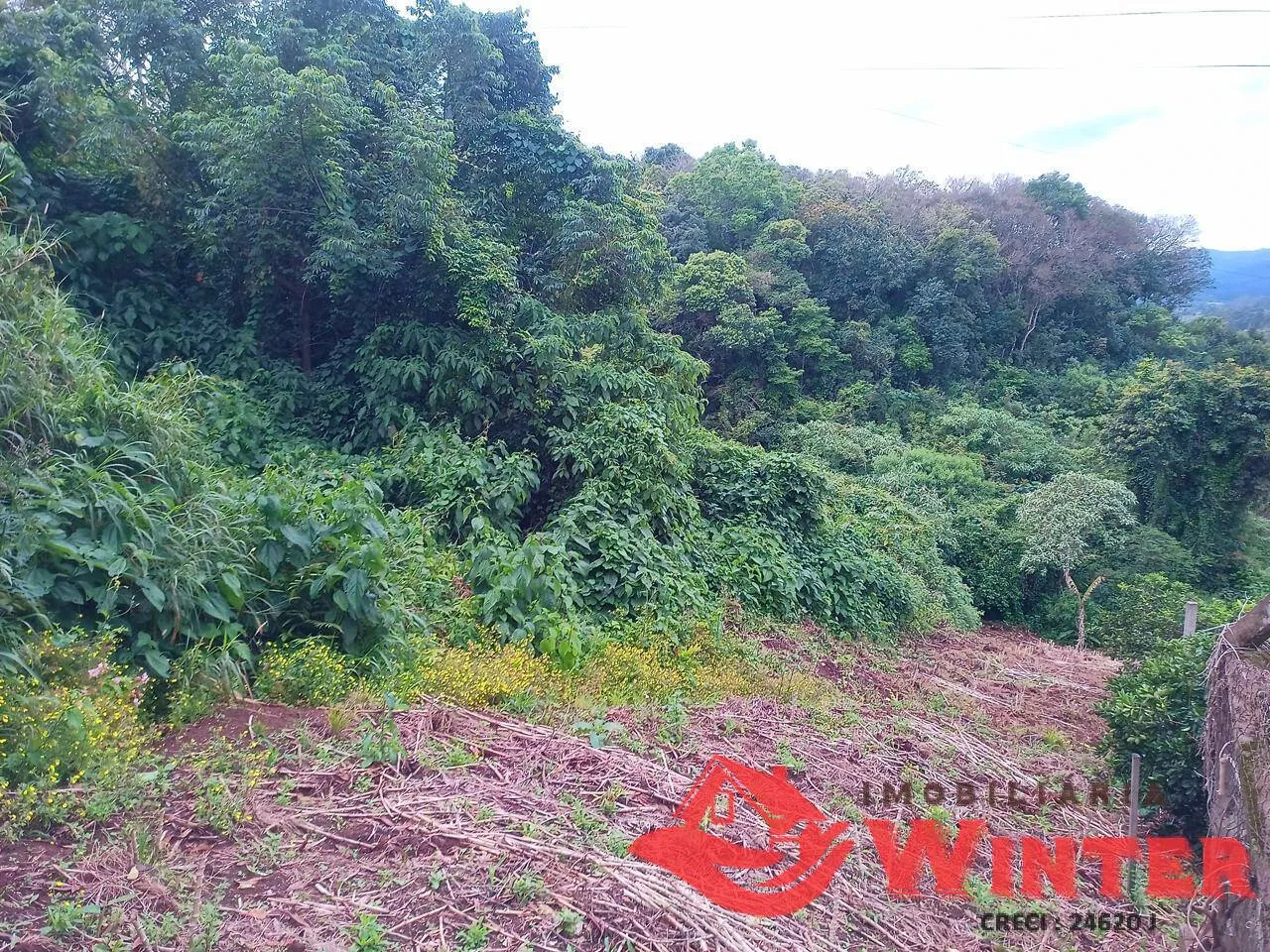 Imagem Terreno de 1046,93m² próximo a PlastiWeber Centro de Feliz.